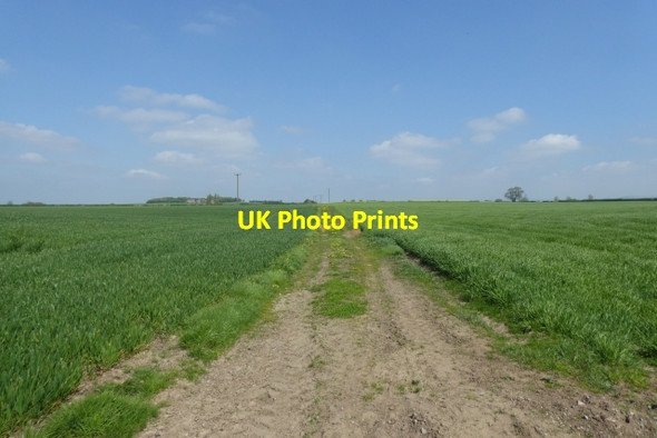 Photo 6"x4" Bridleway to Eldmire Cottage Crakehill c2018