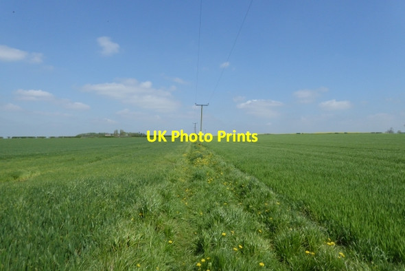 Photo 6"x4" Bridleway along the field boundary Crakehill c2018