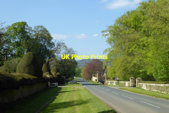 Photo 6"x4" Road through Newburgh Coxwold c2018