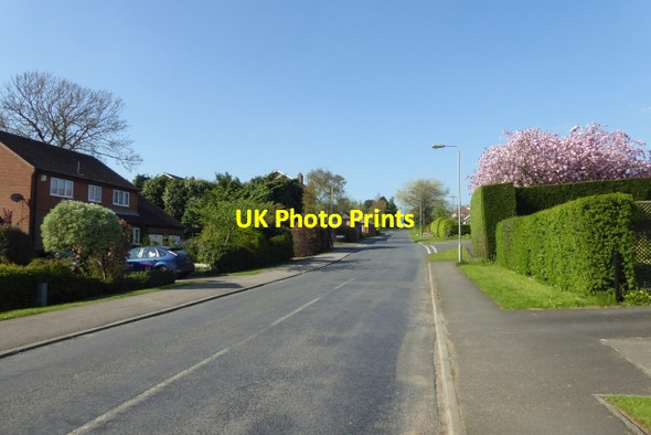 Photo 6"x4" Looking along Oulston Road Easingwold c2018