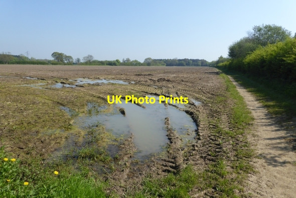 Photo 6"x4" Muddy field and bridleway Fulford\/SE6149 c2018