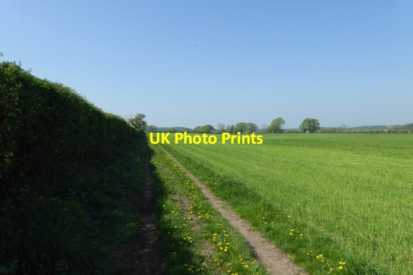 Photo 6"x4" Bridleway to Warren House Farm Escrick c2018