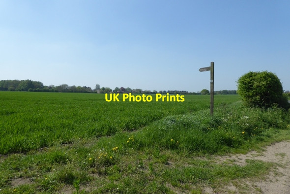 Photo 6"x4" Bridleway to Moor Lane Riccall c2018
