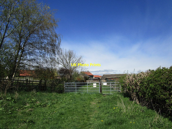 Photo 6"x4" Entering Hutton Magna on the bridleway from Hutton Fields Hutton Magna c2018