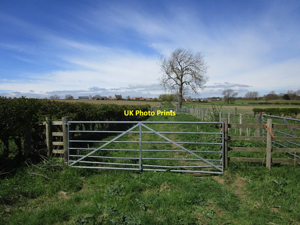 Photo 6"x4" Gates on the bridleway between Hutton Fields and Hutton Magna Hutton Magna c2018