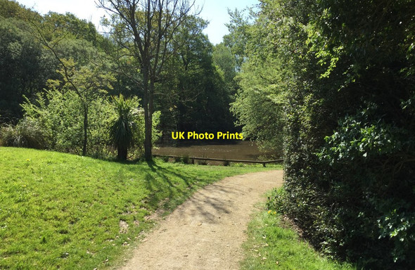 Photo 6"x4" Pond near the golf course Heathfield\/TQ5630 c2018