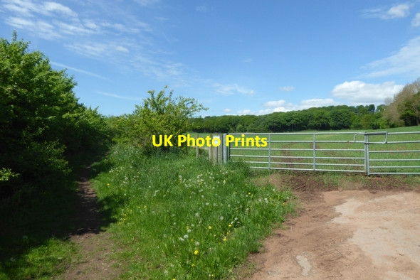 Photo 6"x4" Bridleway and gate Burn\/SE5928 c2018