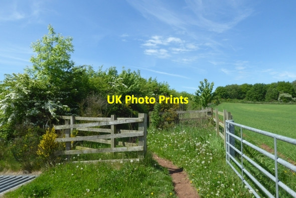 Photo 6"x4" Bridleway beside the A63 Burn\/SE5928 c2018