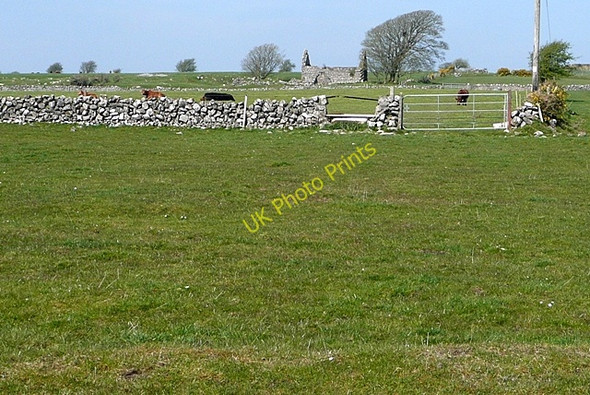 Photo 6"x4" Ballydavid South Athenry c2009