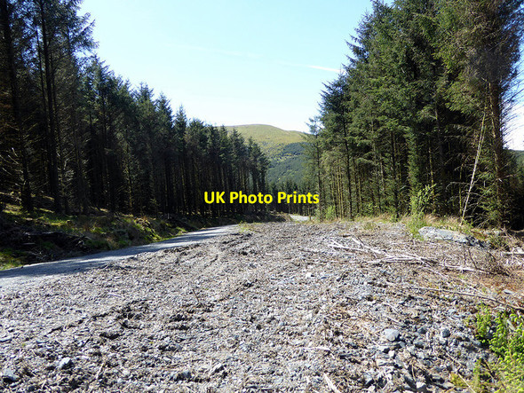 Photo 6"x4" The footpath from Bryn-eglwys Quarry joins a logging road Abergynolwyn c2018