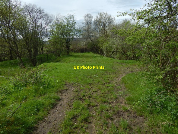 Photo 6"x4" Course of dismantled railway line Alexandria c2018
