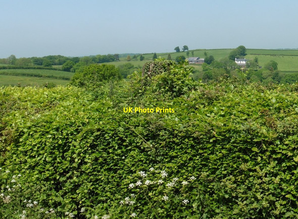 Photo 6"x4" Ivy-covered trig point near West Bradley Templeton\/SS8814 c2018