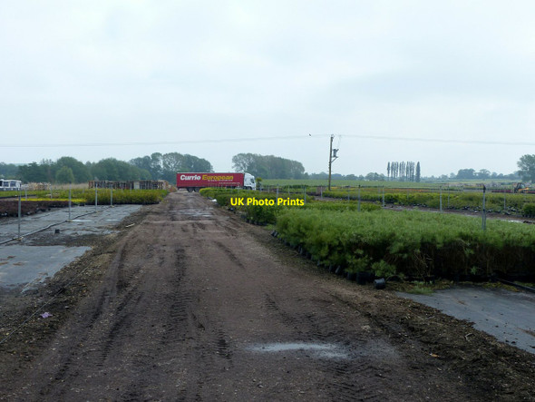 Photo 6"x4" Footpath through the nursery Gaddesby c2018