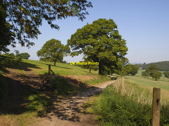 Photo 6"x4" Bridleway below Stub House Plantation Weardley c2018