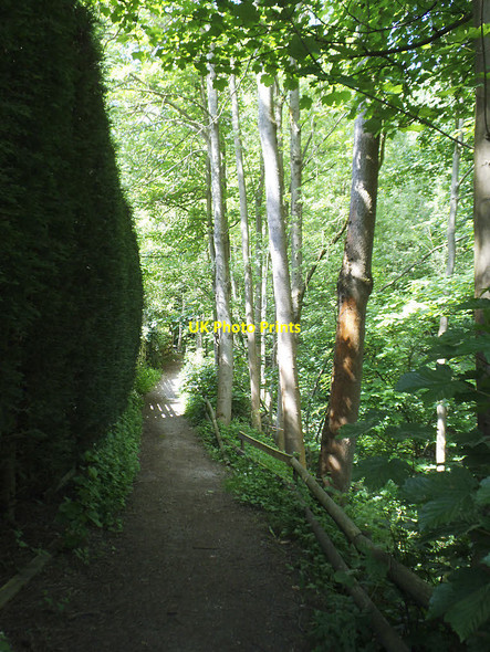 Photo 6"x4" Bridleway off Hall Rise, Bramhope Bramhope c2018