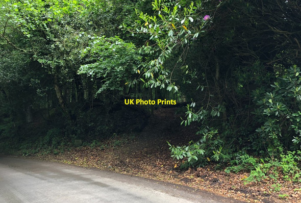Photo 6"x4" Bridleway beside Bryckden Place Roser's Cross c2018