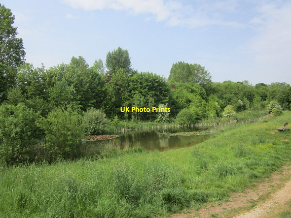 Photo 6"x4" Pond in Poulter Country Park Langwith\/SK5269 c2018