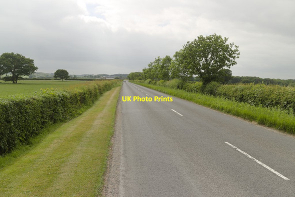 Photo 6"x4" Haggs Road near Spofforth Golf Course Follifoot c2018
