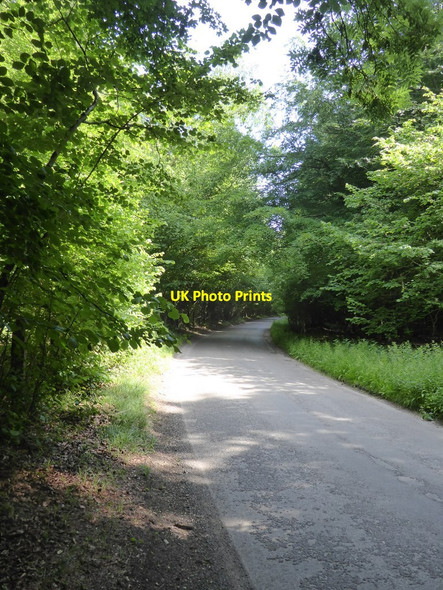 Photo 6"x4" Minor road south towards West Dean Commo c2018