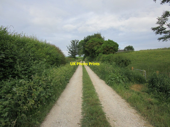 Photo 6"x4" Bridleway to Saxton Saxton c2018