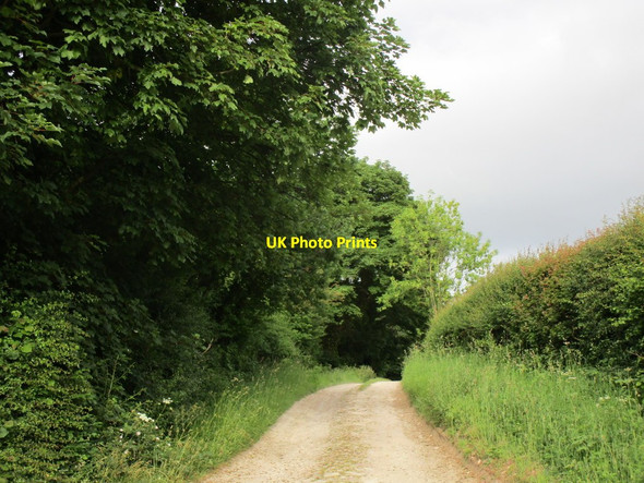 Photo 6"x4" Bridleway to Saxton Saxton c2018