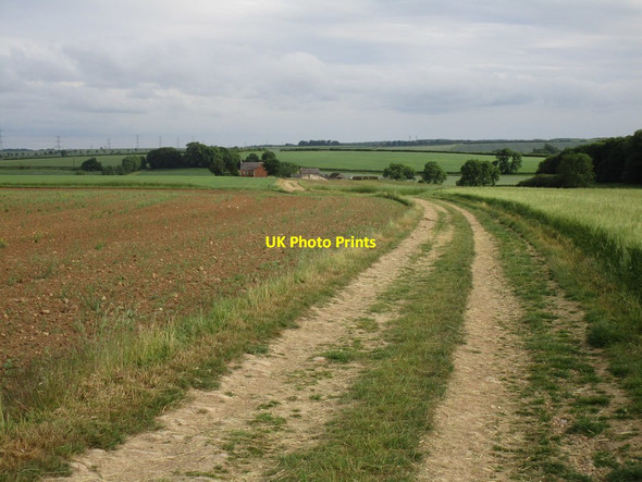 Photo 6"x4" Bridleway to Newstead Farm Saxton c2018