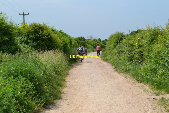 Photo 6"x4" On the Hayling Billy Trail at Stoke Stoke\/SU7202 c2018
