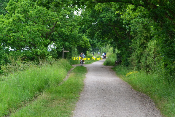 Photo 6"x4" On the Hayling Billy Trail west of Newtown West Town\/SZ7199 c2018