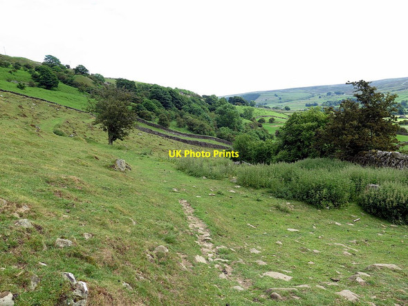 Photo 6"x4" Bridleway below White House Fremington\/SE0499 c2018