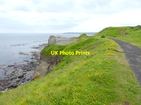 Photo 6"x4" The Cleveland Way at Deep Grove Sandsend\/NZ8612 c2018