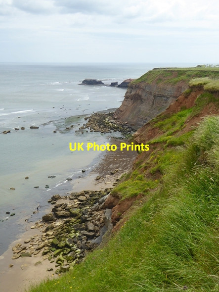 Photo 6"x4" Sea cliffs to the east of Whitby Whitby\/NZ8910 c2018