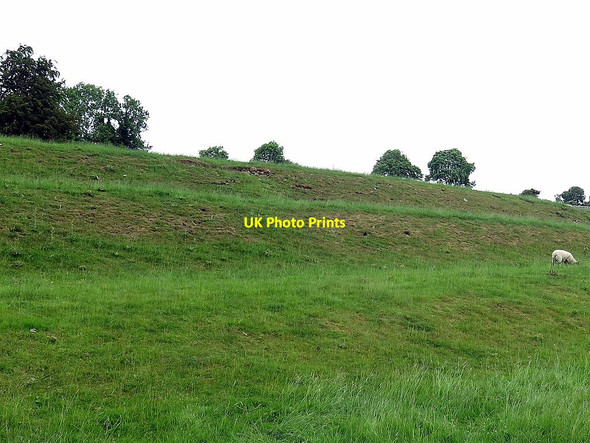 Photo 6"x4" Cultivation terraces west of Reeth Reeth\/SE0399 c2018