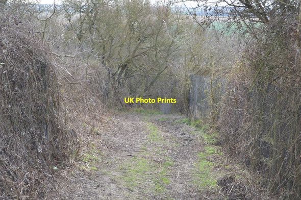 Photo 6"x4" Saxon Shore Way Court-at-Street c2018