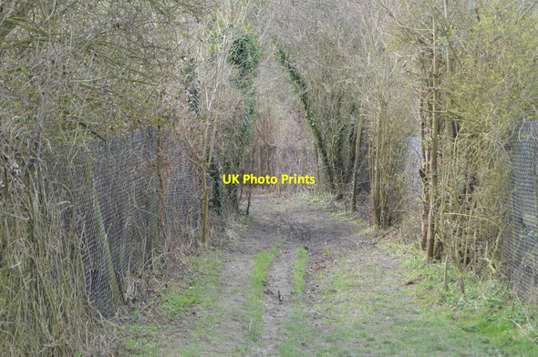 Photo 6"x4" Saxon Shore Way Court-at-Street c2018 P1