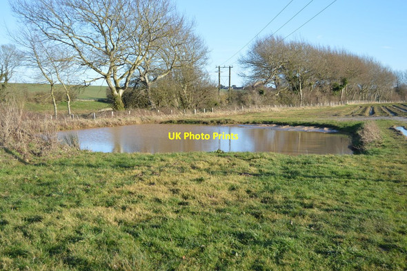 Photo 6"x4" Pond in North Stream Valley Great Mongeham c2018