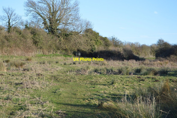 Photo 6"x4" White Cliffs Country Trail Great Mongeham c2018