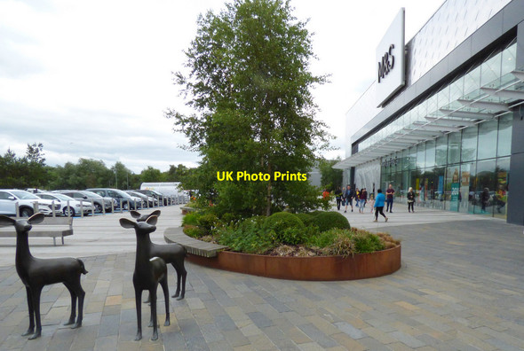Photo 6"x4" Deer sculpture at Glasgow Fort shopping centre Garthamlock c2018 P2