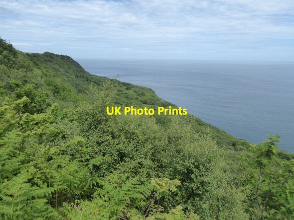 Photo 6"x4" Beast Cliff Staintondale c2018