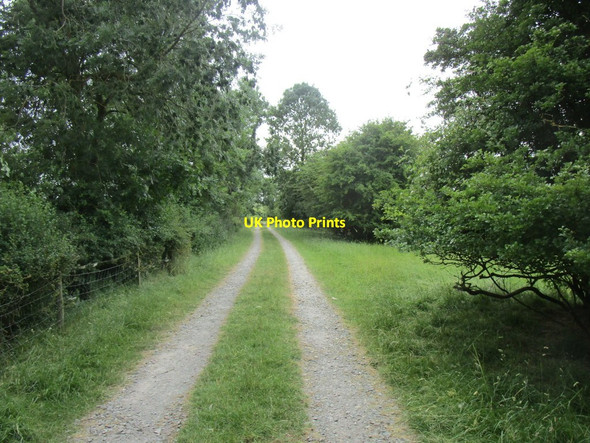Photo 6"x4" Bridleway off Narrow Lane Wymeswold c2018