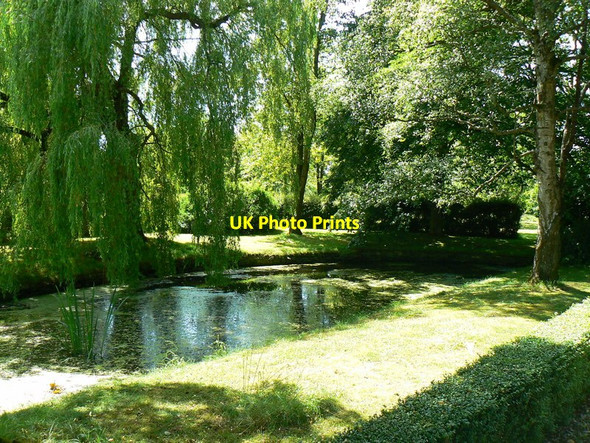 Photo 6"x4" Pond, Upper Minety, Malmesbury Upper Minety c2018