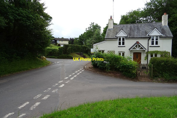Photo 6"x4" Cottage in Llangwm Coed Cwnwr c2018
