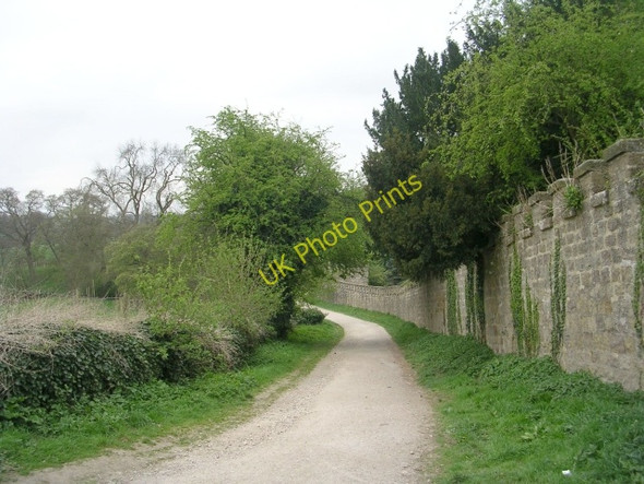 Photo 6"x4" Hollybanke Lane Ripley\/SE2860 c2009