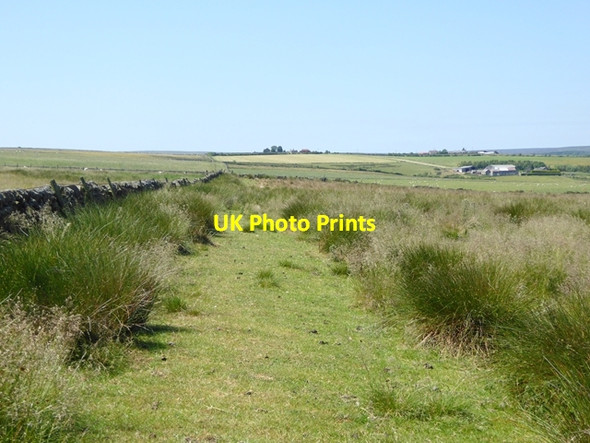 Photo 6"x4" Bridleway near Crakescar Cottage Woodland\/NZ0726 c2018