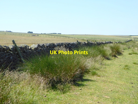 Photo 6"x4" Bridleway near Crakescar Cottage Woodland\/NZ0726 c2018 P1