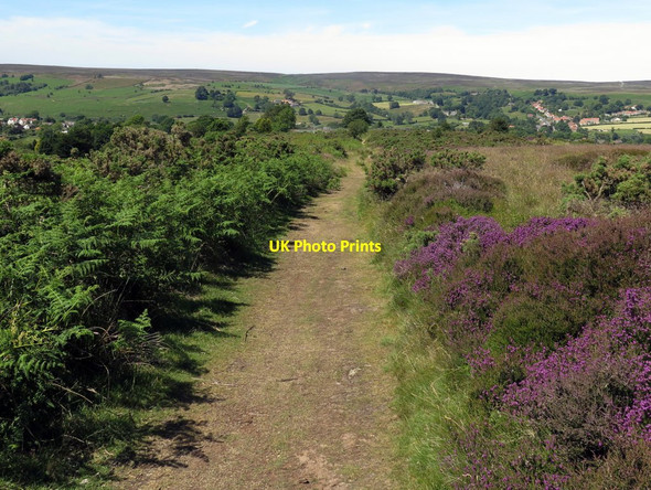 Photo 6"x4" Bridleway south of Ainthorpe Ainthorpe c2018