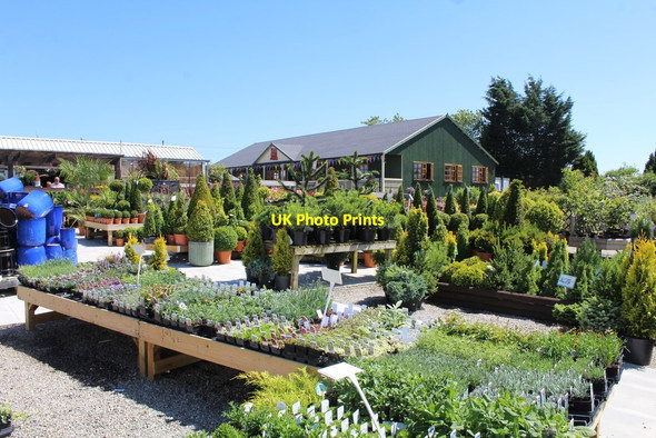 Photo 6"x4" Jacksons Boutique Garden Centre Marian\/SJ0979 c2018