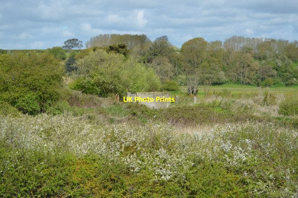 Photo 6"x4" Pillbox, Pett Cliff End\/TQ8813 c2018