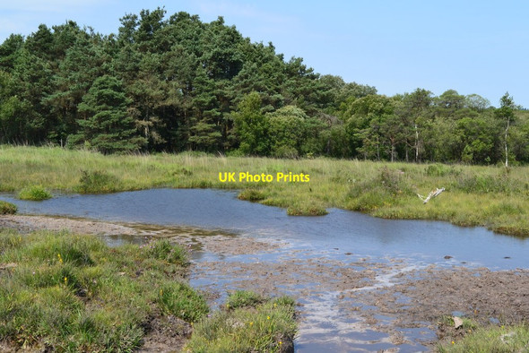 Photo 6"x4" Pond by the path above Duckhole Bog Bisterne Close c2018