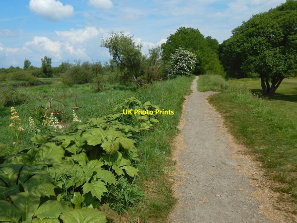 Photo 6"x4" Path beside the golf course Dumbarton c2018