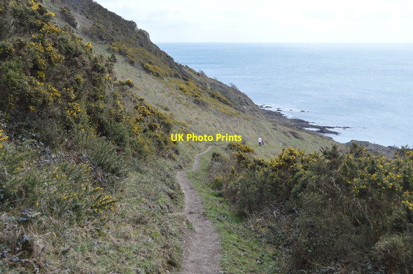 Photo 6"x4" South West Coast Path, Lansallos Cliffs Lansallos c2018 P3